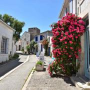 ...et les bougainvilliers les façades chaulées de blanc