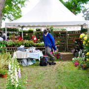 Exposition de fleurs