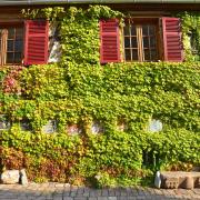 Façade décorée de belles oeuvres d'artiste