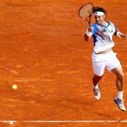 Ferrer sort Nadal du tournoi en quart de finale