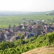 Gueberschwihr dans son écrin de vignes