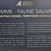 Homme-faune sauvage : destins croisés, territoires partagés