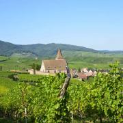 Hunawihr, est classé parmi les plus beaux villages de France