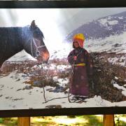 Jeune nomade parie ramassée du bois avec son cheval. Province du Kham-Est du Tibet