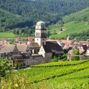 Kaysersberg, l'église de la Ste Croix vue des vignes