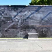 Ken Hiratsuka 2016-Japan-3