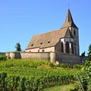 L'église romane fortifiée St Jacques le Majeur protège Hunawihr