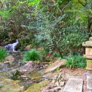 L'eau est le symbole des jardins japonais