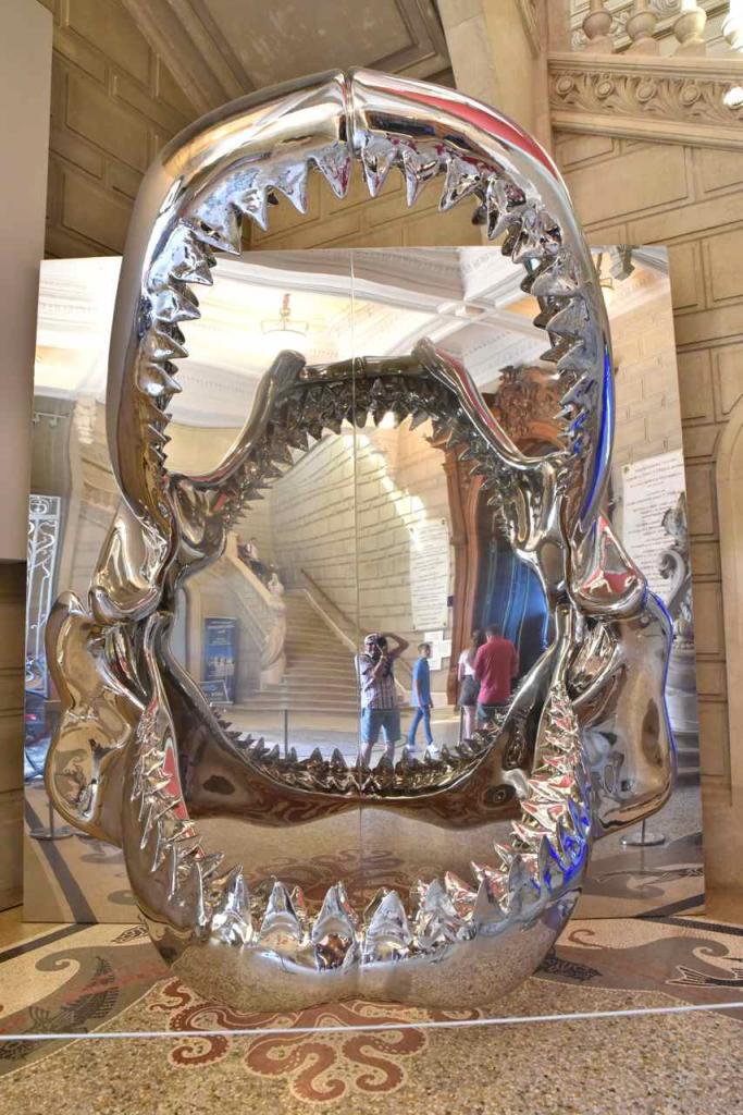 L'Effet Miroir- Je suis dans la mâchoire de Mégalodon, ancêtre du requin