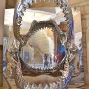 L'Effet Miroir- Je suis dans la mâchoire de Mégalodon, ancêtre du requin