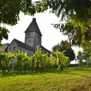 L'Obertor, ou porte haute du XII° siècle, vue depuis  jardin des vignes