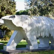 L'Ours blanc artiste inconnu(e)