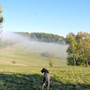 La brume se lève...