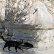 La fontaine au pied du château des Lascaris