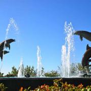 La fontaine aux dauphins