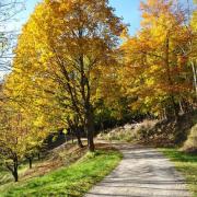 La Nature nous offre des tableaux de toute beauté...