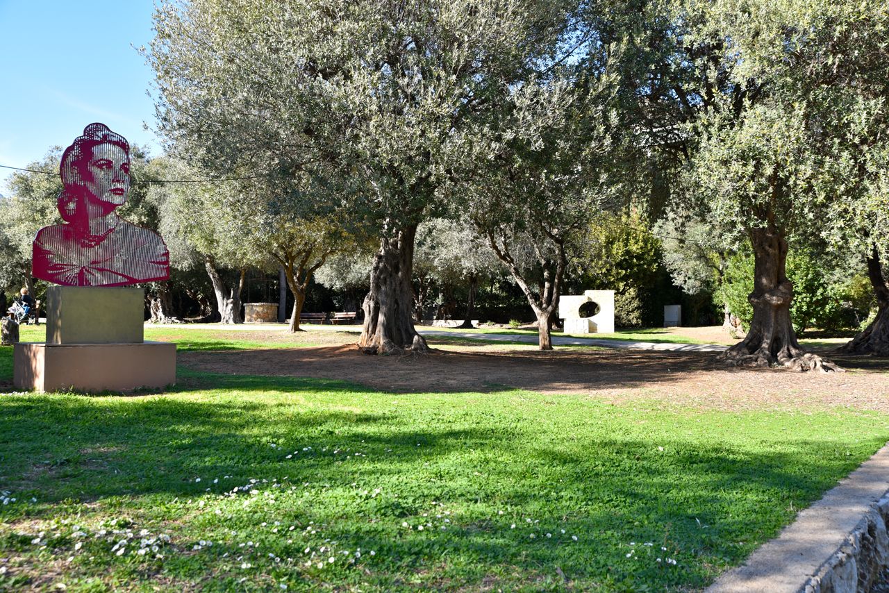 La partie Ouest du parc abrite environ 300 oliviers
