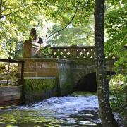 La petite Fecht traverse le parc Albert  Schweitzer et se jette dans la grande Fecht