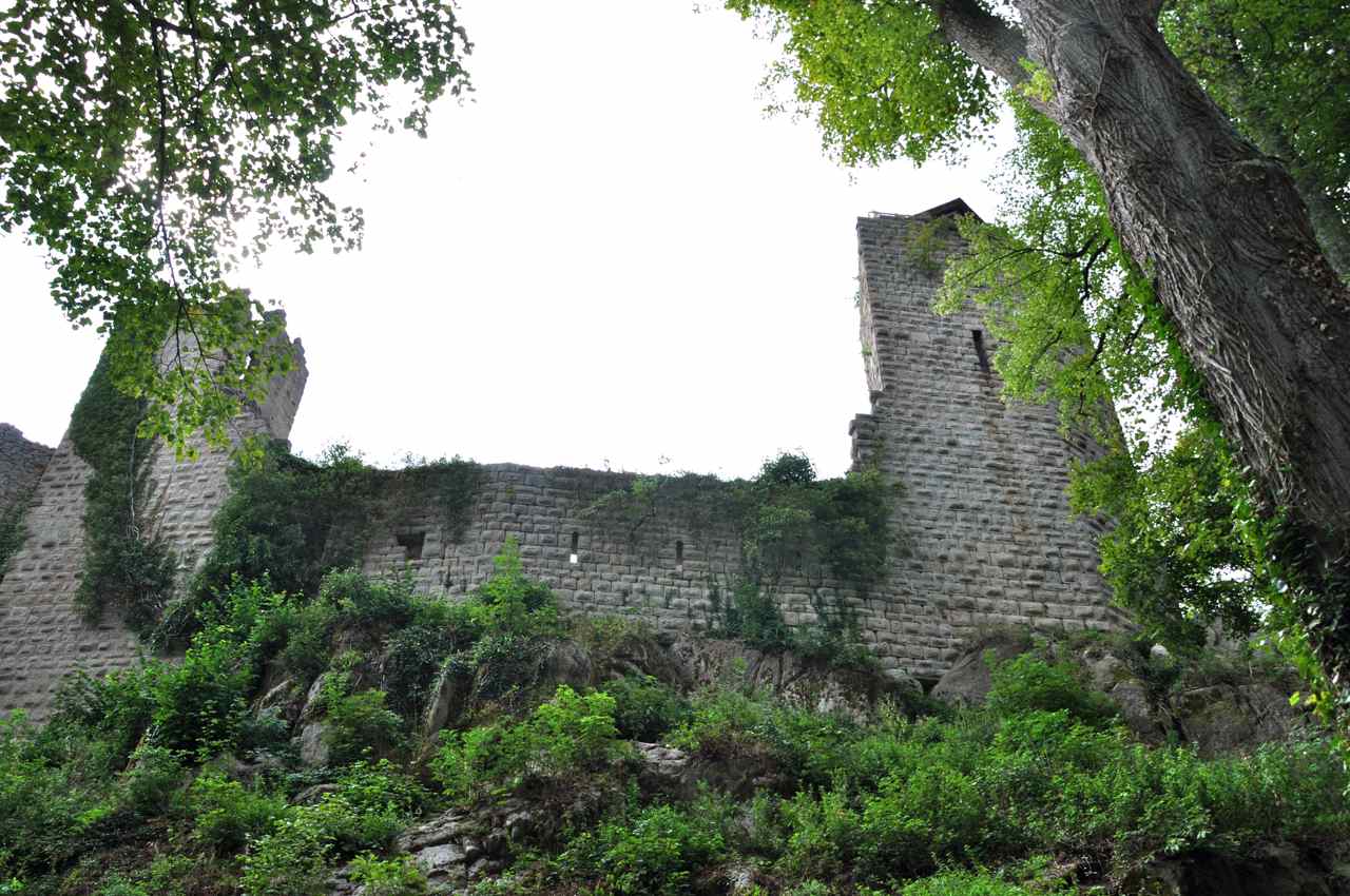 La tour Marguerite et le donjon vus du nord.