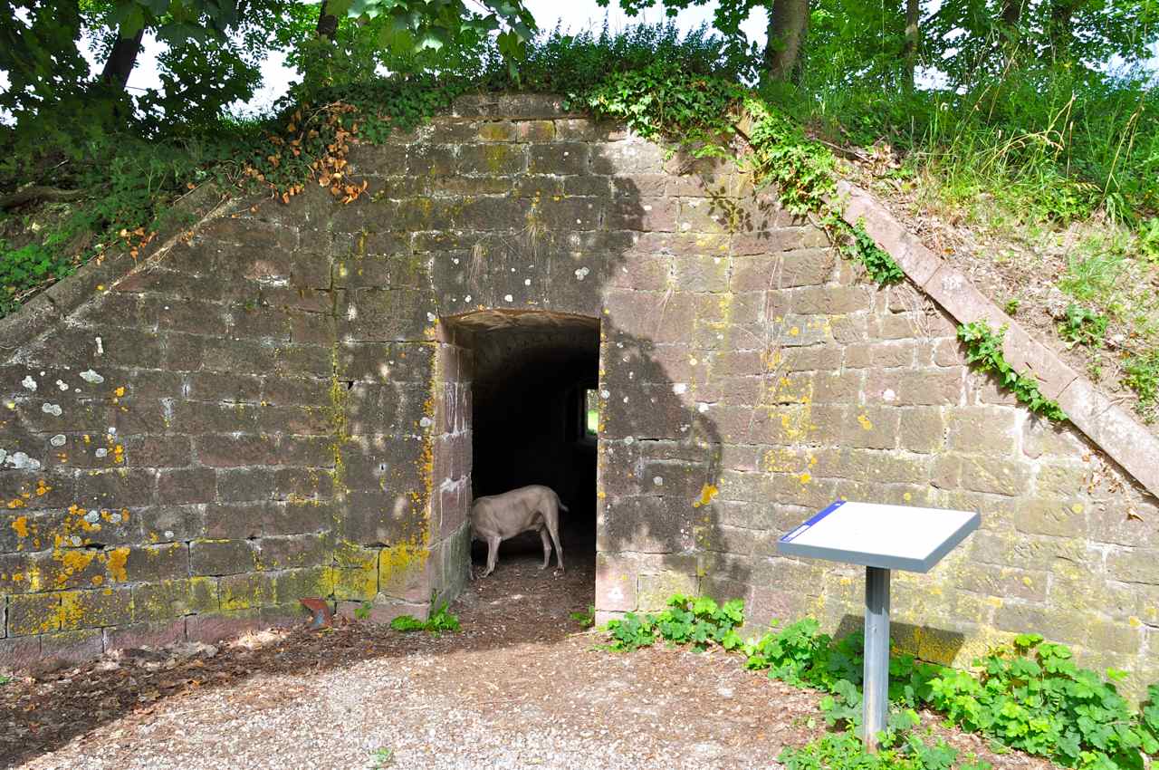 ...là une tenaille et son tunnel gardés par Saxo