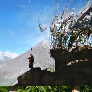 Lama Ngeudroup, moine tibétain, contemple la vallée de Khoumbou-Népal