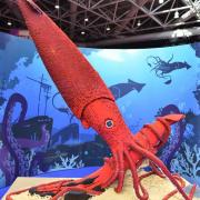 Le calamar géant 89036 briques 4 constructeurs 300 h de travail poids 456 kg