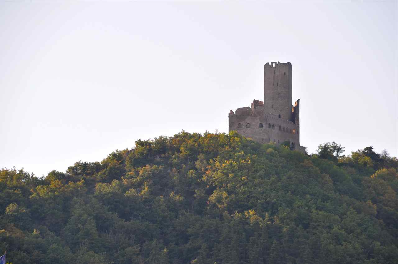 Le château de l'Ortenbourg vu depuis la route des vins d'Alsace