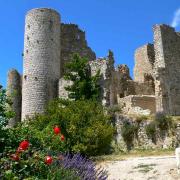 Le château est construit au XIIe siècle par les Pontevès