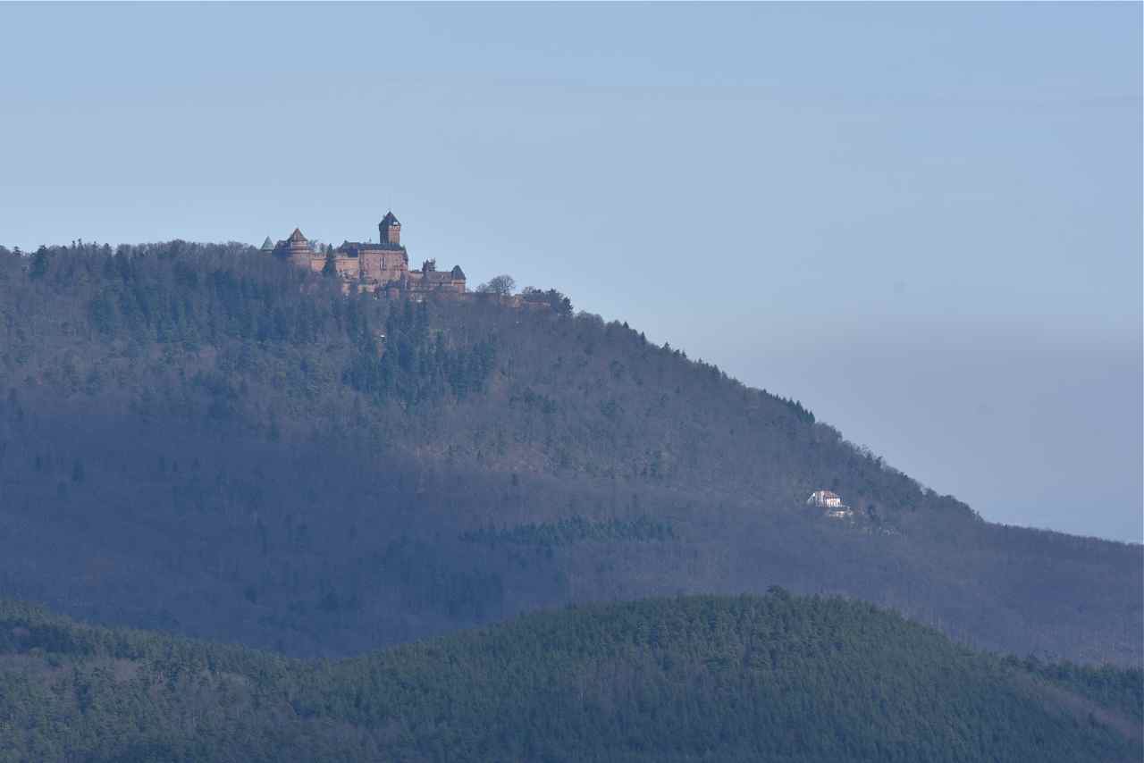 Le château-fort du Haut-Koenigsbourg vu de puis le sommet du donjon