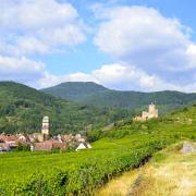 Le château impérial Schlossberg veille sur Kaysersberg