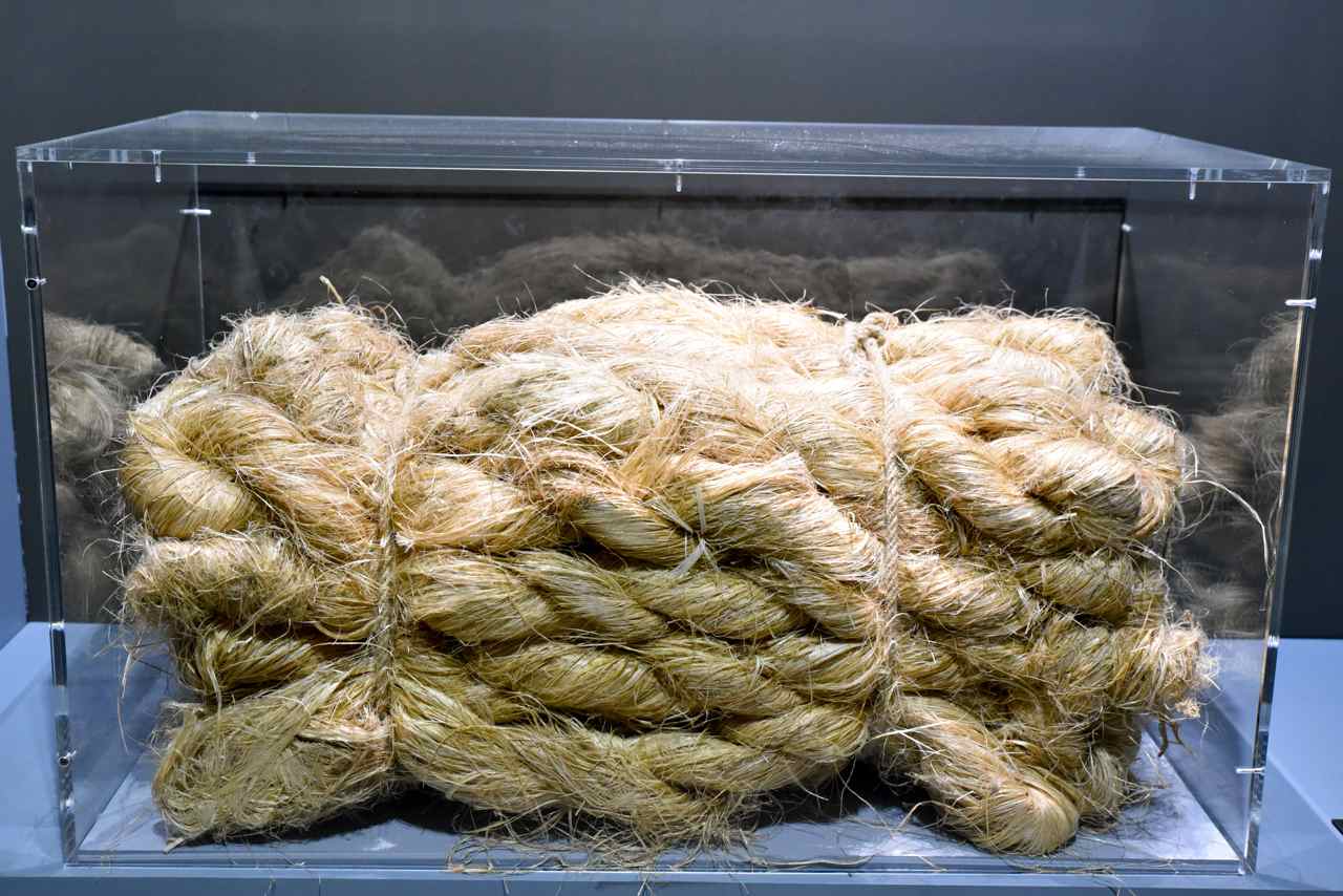 Le chanvre d'Asie est utilisé pour les cordages du fait de la résistance de ses fibres