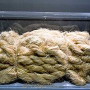Le chanvre d'Asie est utilisé pour les cordages du fait de la résistance de ses fibres