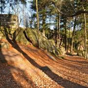 Le début du chemin de Croix illuminé par le soleil matinal