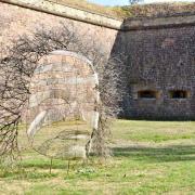 Le fantôme des murailles