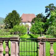 Le jardin du château agrémenté d'ifs, de magnolias et de buis