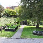 Le jardin médiéval respecte scrupuleusement le plan de St Gall...