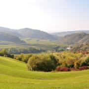 Le Kaiserstuhl, l'une des régions les plus chaudes de l'Allemagne...