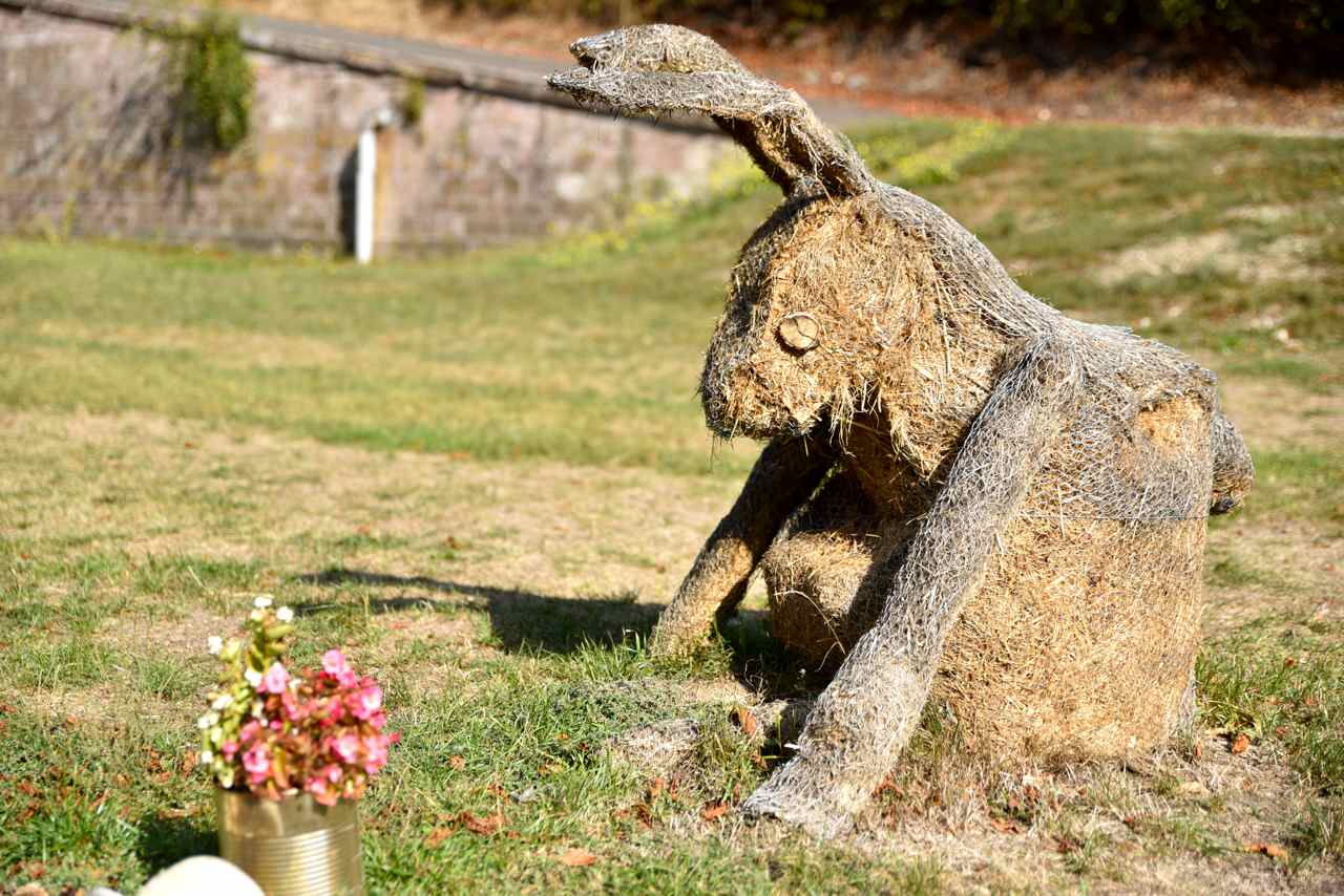 Le lapin contemplatif