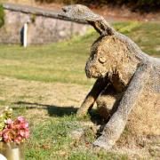 Le lapin contemplatif