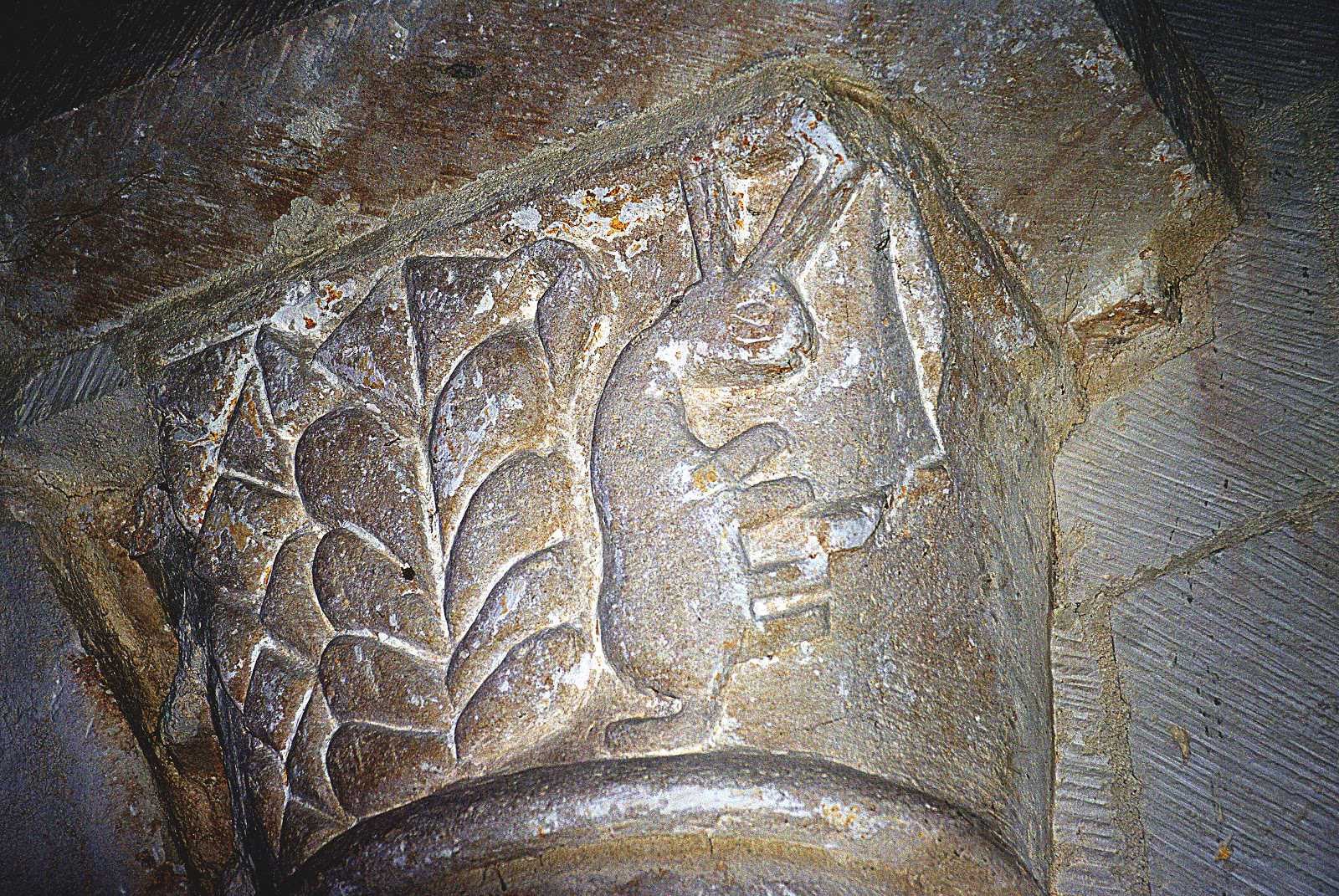 Chapiteau sculpté : le lapin représente l'ecclésiastique dans la luxure