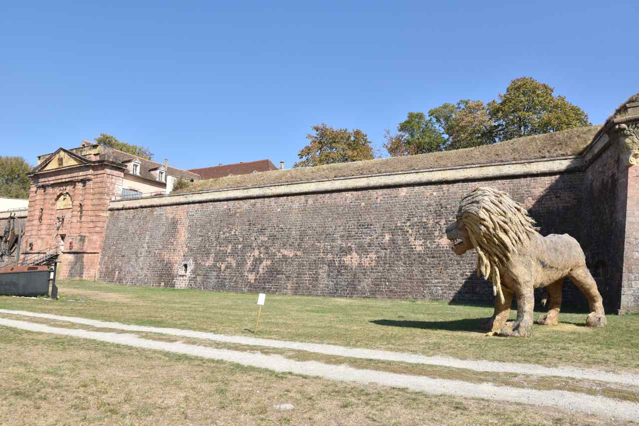 Le lion garde la porte de Belfort, un clin d'oeil....