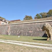 Le lion garde la porte de Belfort, un clin d'oeil....