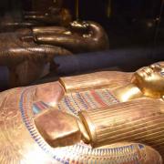 Le sarcophage de Chéchonq II-Gros plan