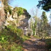 Le sentier chemine à travers le grès rose et les arbres