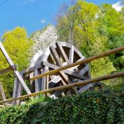 Le treuil à tambour ou cage d'écureuil