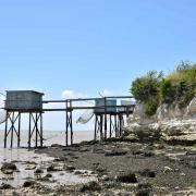 Les carrelets et la falaise bien attaquée par l'érosion et les tempêtes