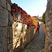 Les couleurs d'automne égaient cette ruelle