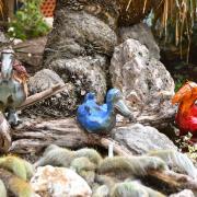 Les Dodos Céramique Marthe Rubes