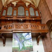 Les orgues et une toile hymne à la Nature