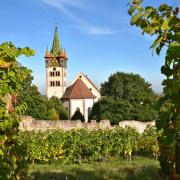 Les vignes dernières assaillantes du village fortifié